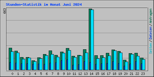 Stunden-Statistik im Monat Juni 2024