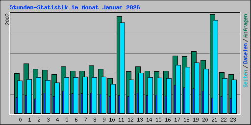 Stunden-Statistik im Monat Januar 2026